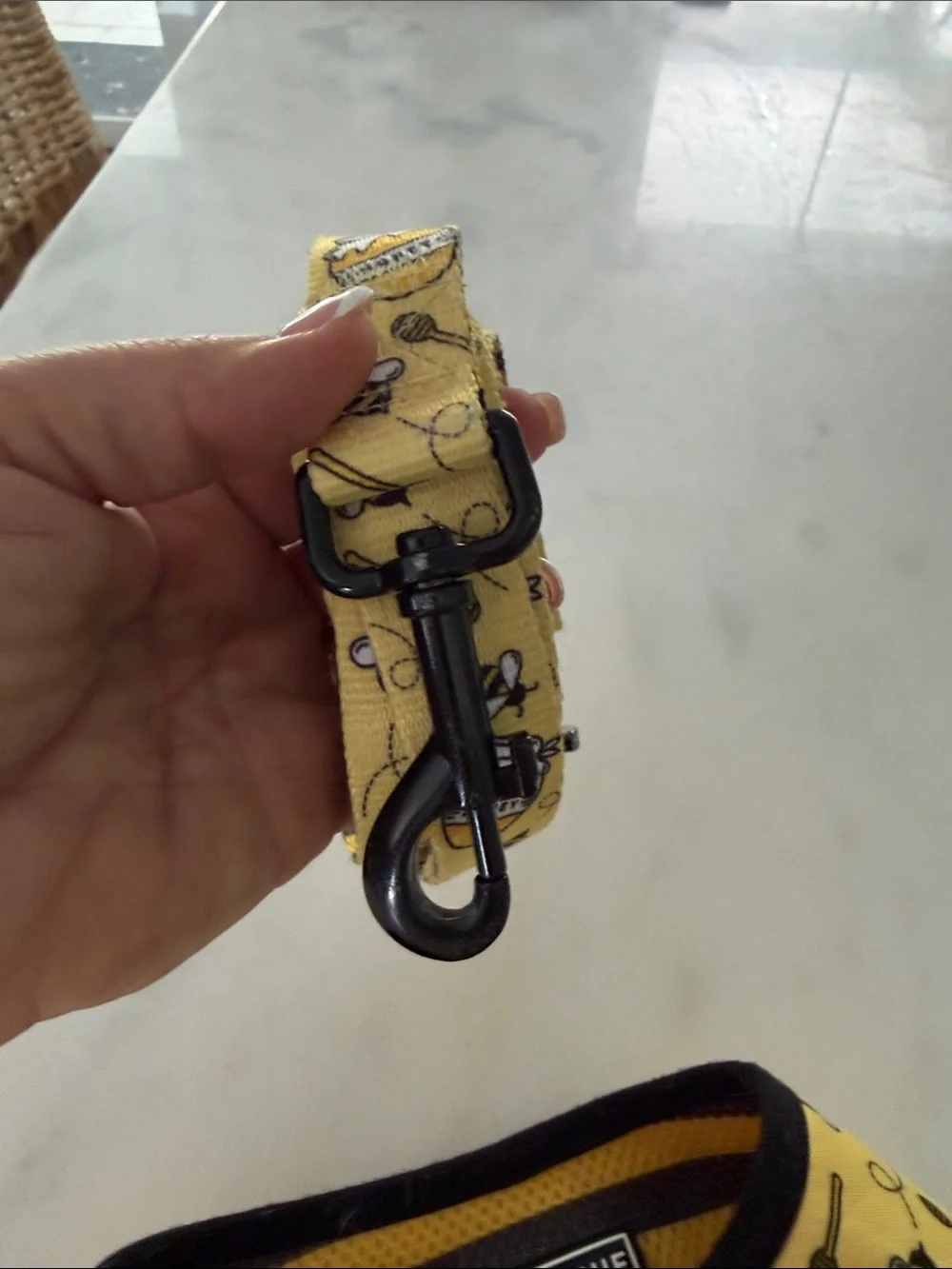 Frenchie Yellow and Black Bee-Print Dog Harness with Striped Leash